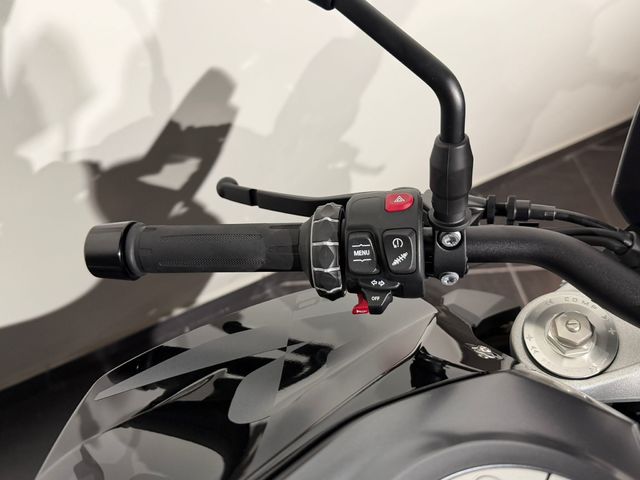 BMW Motorrad F 900 R  de ocasión 