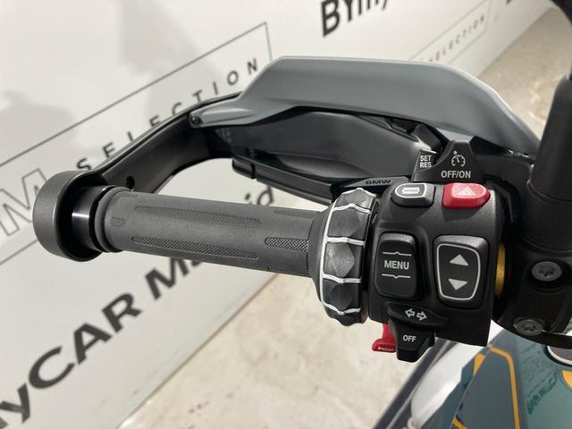 BMW Motorrad R 1300 GS  de ocasión 