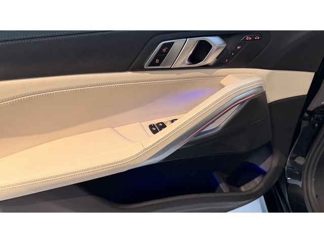 BMW X6 xDrive40d 250 kW (340 CV)