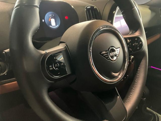 MINI MINI Countryman Cooper S E ALL4 162 kW (220 CV)