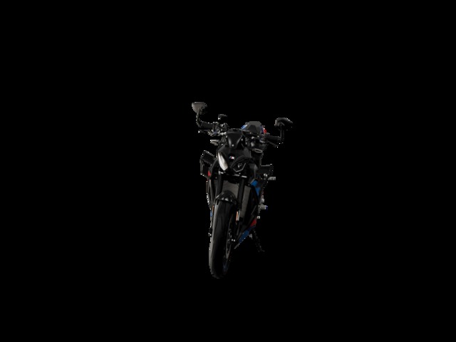 BMW Motorrad M 1000 R  de ocasión 