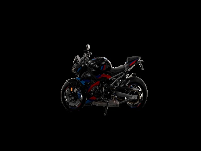 BMW Motorrad M 1000 R  de ocasión 