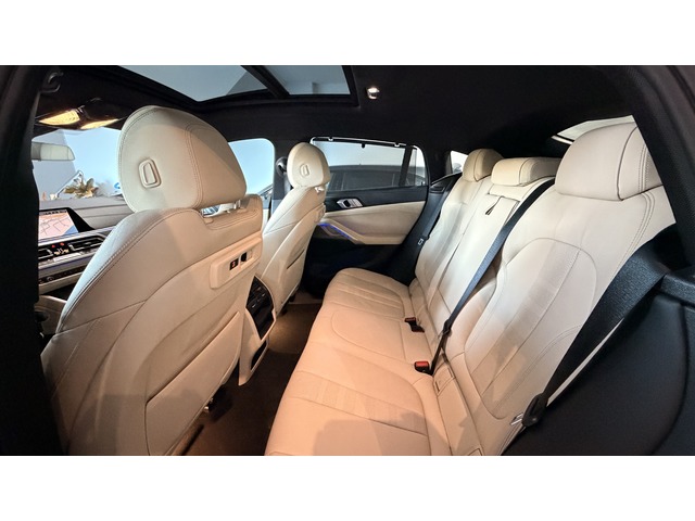 BMW X6 xDrive40d 250 kW (340 CV)