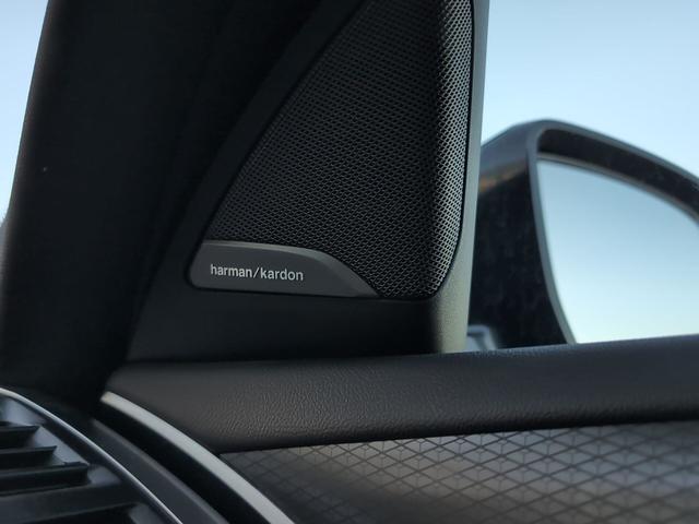 fotoG 18 del BMW X4 xDrive30d xLine 210 kW (286 CV) 286cv Diésel del 2025 en Málaga