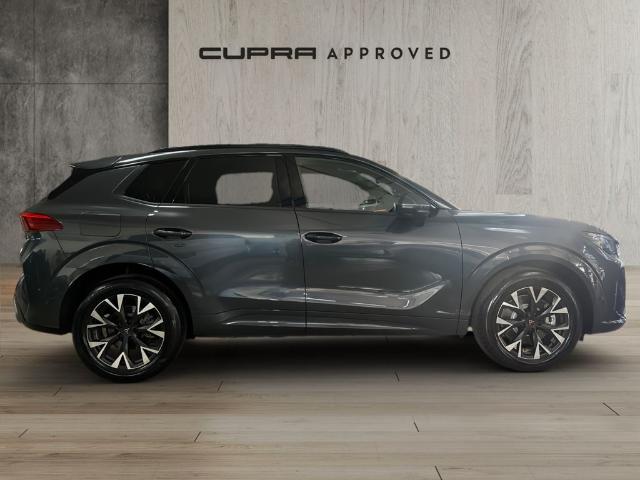 CUPRA Terramar 1.5 TSI e-Hybrid DSG 150 kW (204 CV)