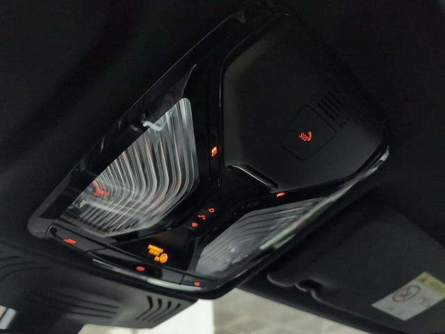 fotoG 15 del BMW X4 xDrive30d xLine 210 kW (286 CV) 286cv Diésel del 2025 en Málaga