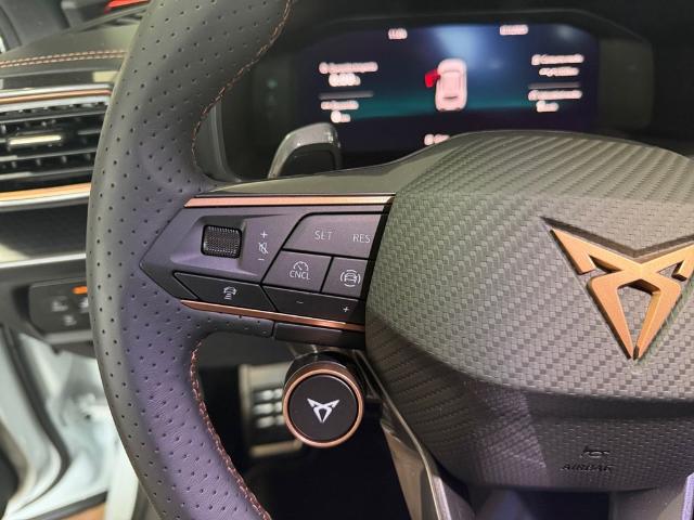 CUPRA Formentor 2.0 TDI DSG 110 kW (150 CV)