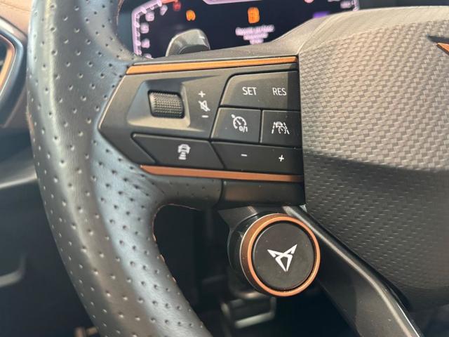 CUPRA Formentor 2.5 TSI VZ5 Taiga Grey 4Drive DSG 287 kW (390 CV)