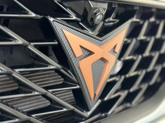 CUPRA Formentor 2.5 TSI VZ5 Taiga Grey 4Drive DSG 287 kW (390 CV)