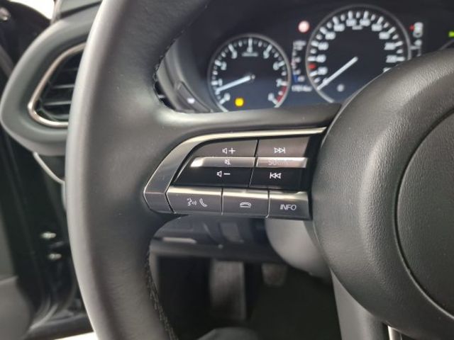 Mazda CX-30 2.0 e-SKYACTIV-X Homura 2WD 137 kW (186 CV)