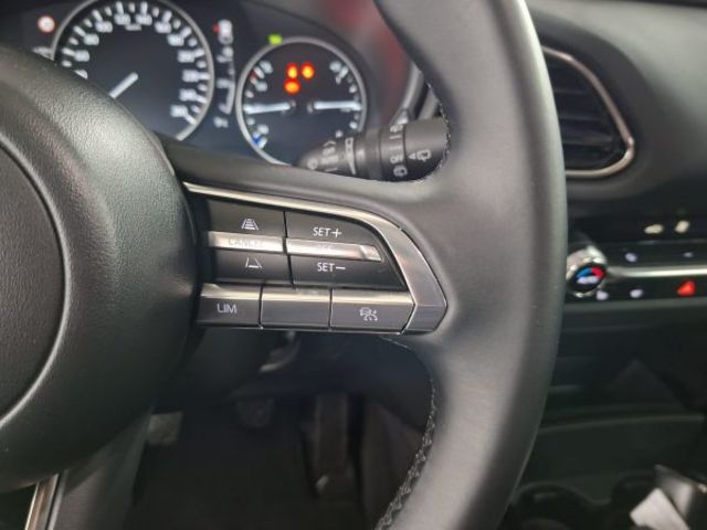 Mazda CX-30 2.0 e-SKYACTIV-X Homura 2WD 137 kW (186 CV)