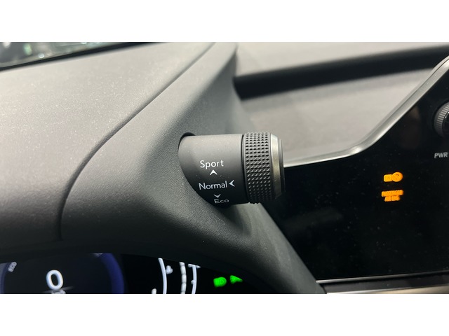 Lexus UX 300h Plus 146 kW (199 CV)