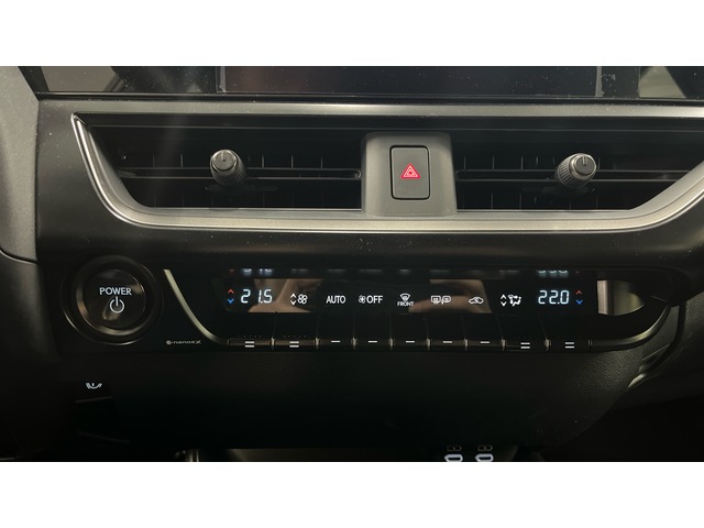 Lexus UX 300h Plus 146 kW (199 CV)