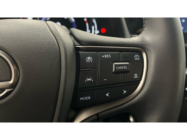 Lexus UX 300h Plus 146 kW (199 CV)