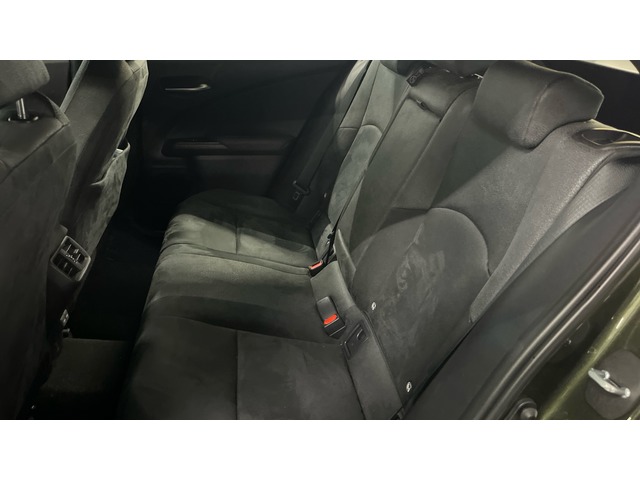 Lexus UX 300h Plus 146 kW (199 CV)