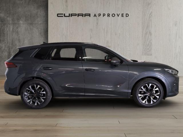 CUPRA Terramar 1.5 eTSI DSG 110 kW (150 CV)