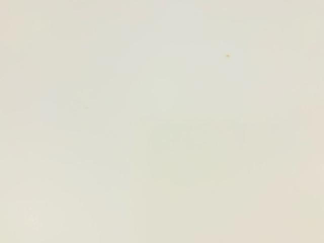 CUPRA Leon Sportstourer 1.5 eTSI DSG 110 kW (150 CV)