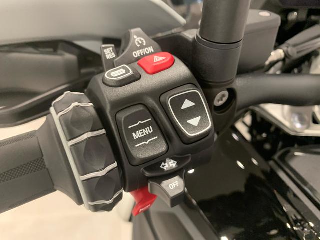 BMW Motorrad R 1300 GS  de ocasión 