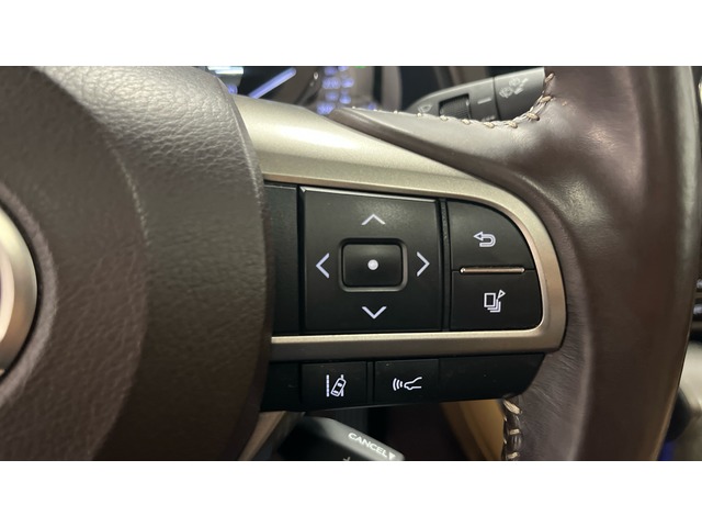 Lexus RX 450h Executive Tecno 230 kW (313 CV)