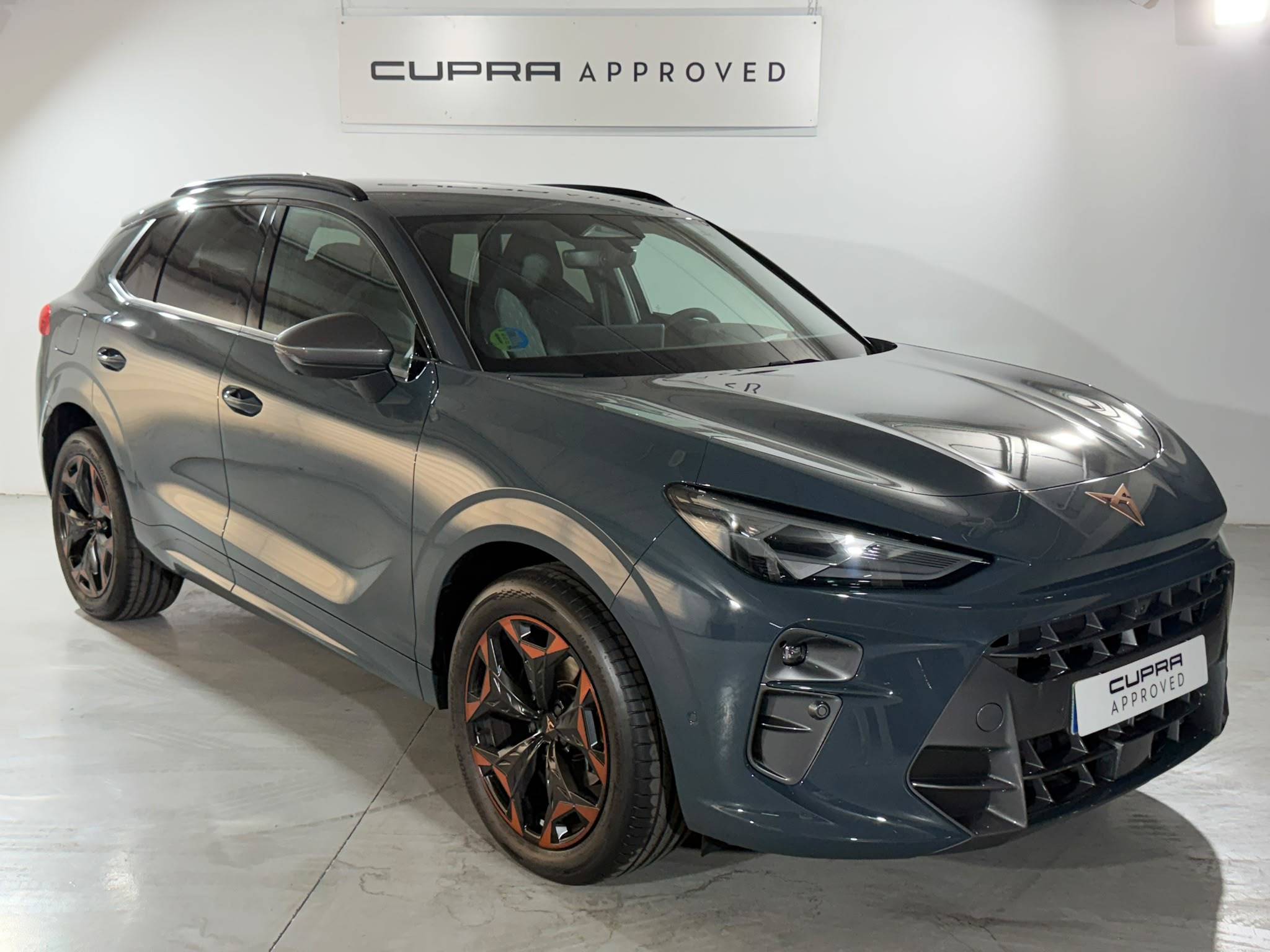 CUPRA Terramar — foto 1